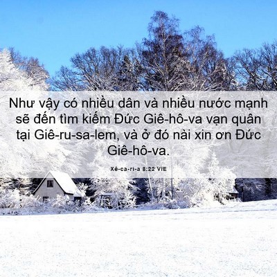 Picture 06 - Xê-ca-ri-a 8:22 VIE - Như vậy có nhiều dân và nhiều nước - Bible Verse Picture