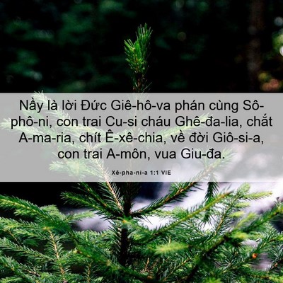 Picture 06 - Xê-pha-ni-a 1:1 VIE - Nầy là lời Đức Giê-hô-va phán cùng - Bible Verse Picture