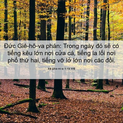 Picture 06 - Xê-pha-ni-a 1:10 VIE - Đức Giê-hô-va phán: Trong ngày đó sẽ - Bible Verse Picture