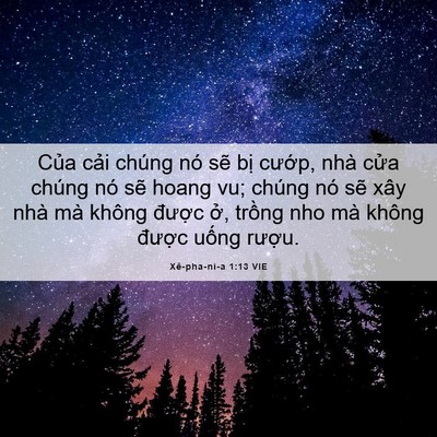 Picture 06 - Xê-pha-ni-a 1:13 VIE - Của cải chúng nó sẽ bị cướp, nhà - Bible Verse Picture