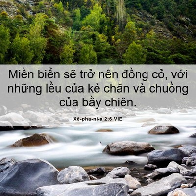 Picture 06 - Xê-pha-ni-a 2:6 VIE - Miền biển sẽ trở nên đồng cỏ, với - Bible Verse Picture