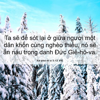 Picture 06 - Xê-pha-ni-a 3:12 VIE - Ta sẽ để sót lại ở giữa ngươi một - Bible Verse Picture