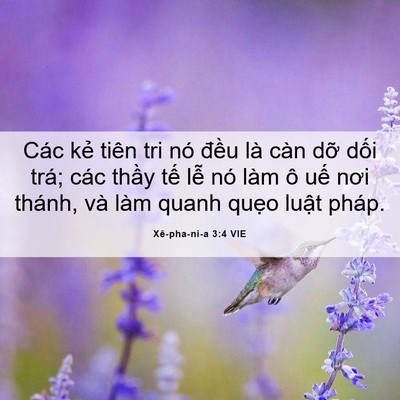 Picture 06 - Xê-pha-ni-a 3:4 VIE - Các kẻ tiên tri nó đều là càn dỡ - Bible Verse Picture