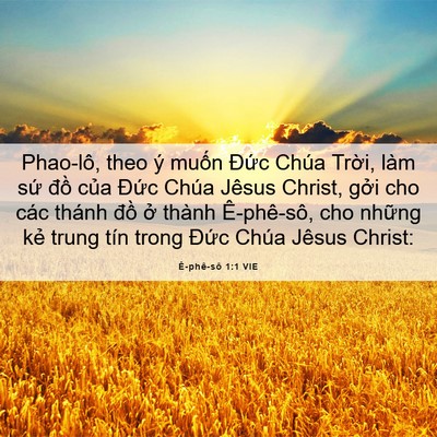 Picture 06 - Ê-phê-sô 1:1 VIE - Phao-lô, theo ý muốn Đức Chúa Trời, - Bible Verse Picture