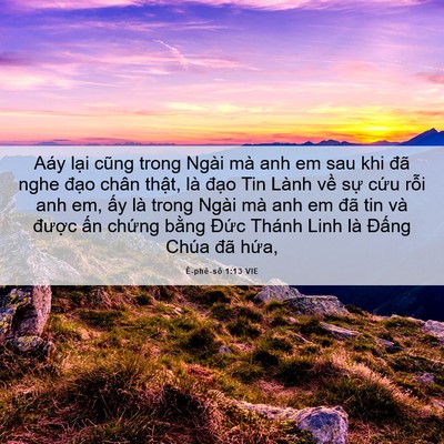 Picture 06 - Ê-phê-sô 1:13 VIE - Aáy lại cũng trong Ngài mà anh em sau khi - Bible Verse Picture