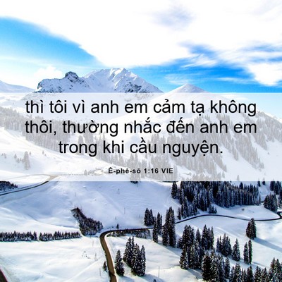 Picture 06 - Ê-phê-sô 1:16 VIE - thì tôi vì anh em cảm tạ không thôi, - Bible Verse Picture