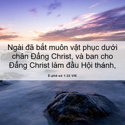 Picture 06 - Ê-phê-sô 1:22 VIE - Ngài đã bắt muôn vật phục dưới chân - Bible Verse Picture