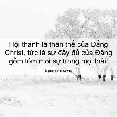 Picture 06 - Ê-phê-sô 1:23 VIE - Hội thánh là thân thể của Đấng - Bible Verse Picture