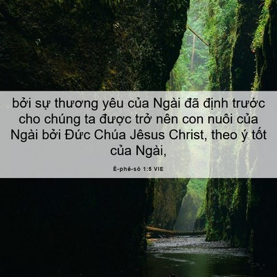 Picture 06 - Ê-phê-sô 1:5 VIE - bởi sự thương yêu của Ngài đã định - Bible Verse Picture