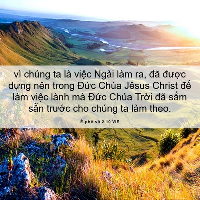 Picture 06 - Ê-phê-sô 2:10 VIE - vì chúng ta là việc Ngài làm ra, đã - Bible Verse Picture