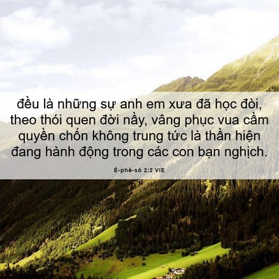 Picture 06 - Ê-phê-sô 2:2 VIE - đều là những sự anh em xưa đã học - Bible Verse Picture
