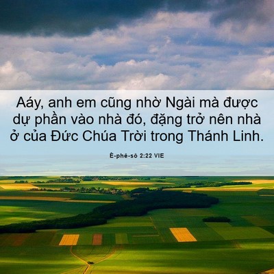 Picture 06 - Ê-phê-sô 2:22 VIE - Aáy, anh em cũng nhờ Ngài mà được dự - Bible Verse Picture