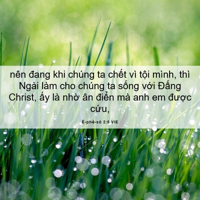 Picture 06 - Ê-phê-sô 2:5 VIE - nên đang khi chúng ta chết vì tội mình, - Bible Verse Picture