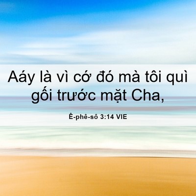Picture 06 - Ê-phê-sô 3:14 VIE - Aáy là vì cớ đó mà tôi quì gối - Bible Verse Picture