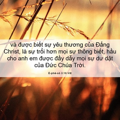 Picture 06 - Ê-phê-sô 3:19 VIE - và được biết sự yêu thương của - Bible Verse Picture