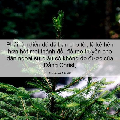 Picture 06 - Ê-phê-sô 3:8 VIE - Phải, ân điển đó đã ban cho tôi, là - Bible Verse Picture
