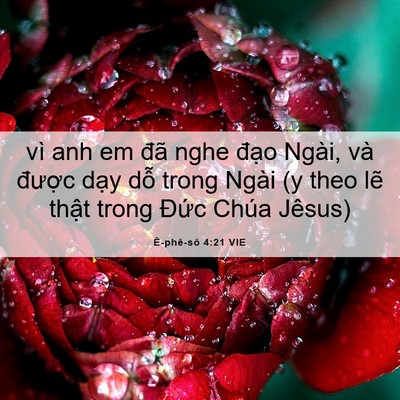 Picture 06 - Ê-phê-sô 4:21 VIE - vì anh em đã nghe đạo Ngài, và được - Bible Verse Picture