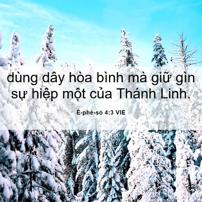 Picture 06 - Ê-phê-sô 4:3 VIE - dùng dây hòa bình mà giữ gìn sự hiệp - Bible Verse Picture