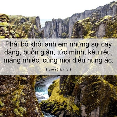 Picture 06 - Ê-phê-sô 4:31 VIE - Phải bỏ khỏi anh em những sự cay - Bible Verse Picture