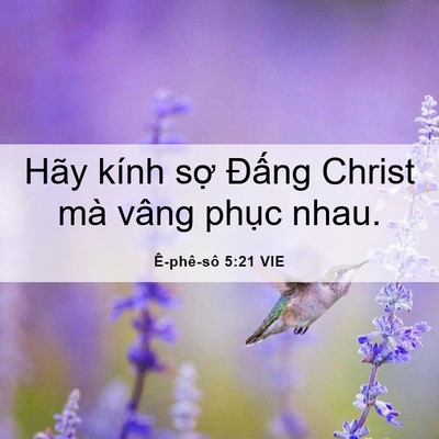 Picture 06 - Ê-phê-sô 5:21 VIE - Hãy kính sợ Đấng Christ mà vâng phục - Bible Verse Picture