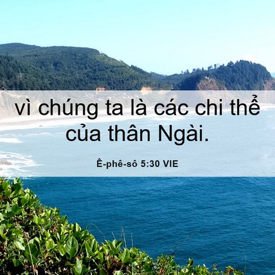 Picture 06 - Ê-phê-sô 5:30 VIE - vì chúng ta là các chi thể của thân - Bible Verse Picture
