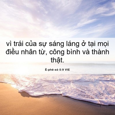 Picture 06 - Ê-phê-sô 5:9 VIE - vì trái của sự sáng láng ở tại mọi - Bible Verse Picture