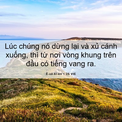 Picture 06 - Ê-xê-ki-ên 1:25 VIE - Lúc chúng nó dừng lại và xủ cánh - Bible Verse Picture