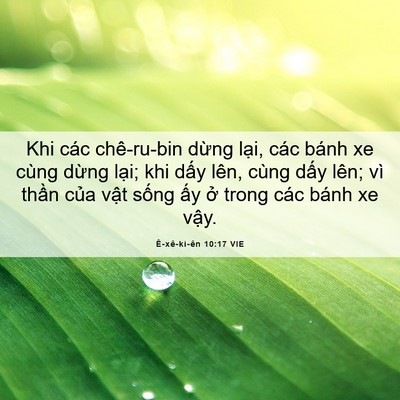 Picture 06 - Ê-xê-ki-ên 10:17 VIE - Khi các chê-ru-bin dừng lại, các bánh xe - Bible Verse Picture