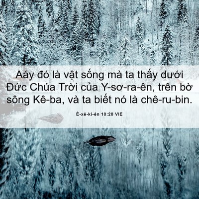 Picture 06 - Ê-xê-ki-ên 10:20 VIE - Aáy đó là vật sống mà ta thấy dưới - Bible Verse Picture