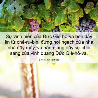 Picture 06 - Ê-xê-ki-ên 10:4 VIE - Sự vinh hiển của Đức Giê-hô-va bèn - Bible Verse Picture