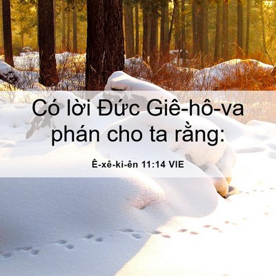 Picture 06 - Ê-xê-ki-ên 11:14 VIE - Có lời Đức Giê-hô-va phán cho ta - Bible Verse Picture