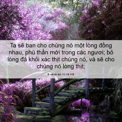 Picture 06 - Ê-xê-ki-ên 11:19 VIE - Ta sẽ ban cho chúng nó một lòng đồng - Bible Verse Picture