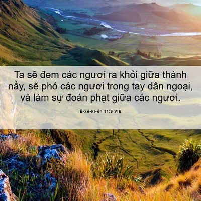 Picture 06 - Ê-xê-ki-ên 11:9 VIE - Ta sẽ đem các ngươi ra khỏi giữa thành - Bible Verse Picture