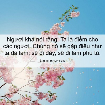Picture 06 - Ê-xê-ki-ên 12:11 VIE - Ngươi khá nói rằng: Ta là điềm cho các - Bible Verse Picture