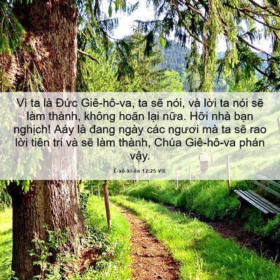 Picture 06 - Ê-xê-ki-ên 12:25 VIE - Vì ta là Đức Giê-hô-va, ta sẽ nói, và - Bible Verse Picture