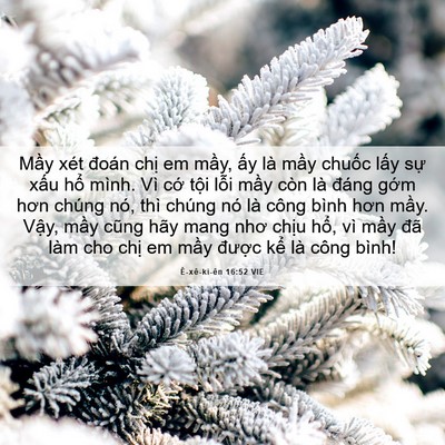 Picture 06 - Ê-xê-ki-ên 16:52 VIE - Mầy xét đoán chị em mầy, ấy là mầy - Bible Verse Picture