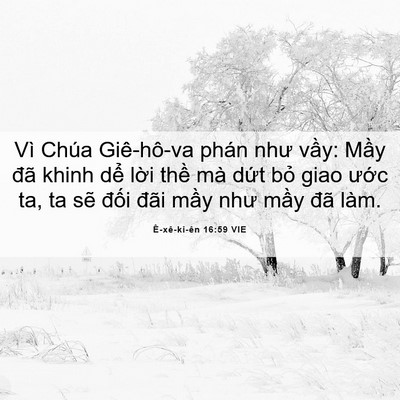 Picture 06 - Ê-xê-ki-ên 16:59 VIE - Vì Chúa Giê-hô-va phán như vầy: Mầy - Bible Verse Picture
