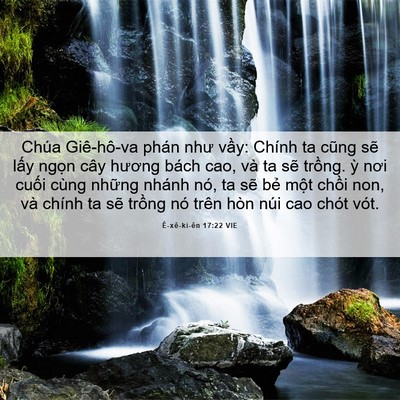 Picture 06 - Ê-xê-ki-ên 17:22 VIE - Chúa Giê-hô-va phán như vầy: Chính ta - Bible Verse Picture