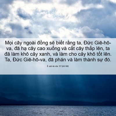 Picture 06 - Ê-xê-ki-ên 17:24 VIE - Mọi cây ngoài đồng sẽ biết rằng ta, - Bible Verse Picture