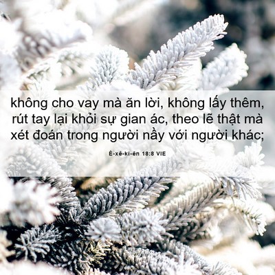 Picture 06 - Ê-xê-ki-ên 18:8 VIE - không cho vay mà ăn lời, không lấy thêm, - Bible Verse Picture