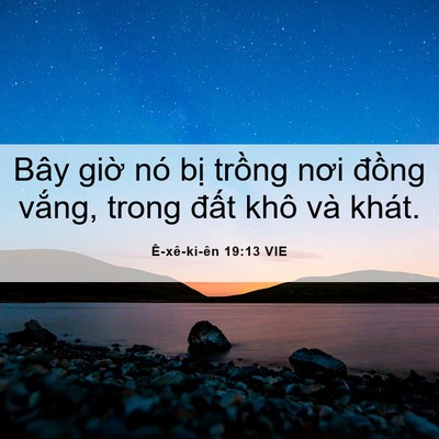 Picture 06 - Ê-xê-ki-ên 19:13 VIE - Bây giờ nó bị trồng nơi đồng vắng, - Bible Verse Picture