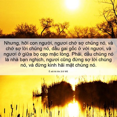 Picture 06 - Ê-xê-ki-ên 2:6 VIE - Nhưng, hỡi con người, ngươi chớ sợ - Bible Verse Picture