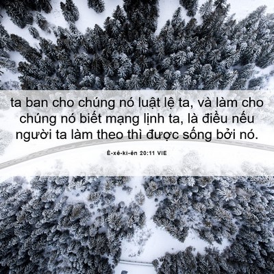 Picture 06 - Ê-xê-ki-ên 20:11 VIE - ta ban cho chúng nó luật lệ ta, và làm - Bible Verse Picture