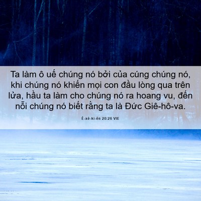 Picture 06 - Ê-xê-ki-ên 20:26 VIE - Ta làm ô uế chúng nó bởi của cúng - Bible Verse Picture
