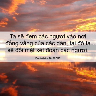 Picture 06 - Ê-xê-ki-ên 20:35 VIE - Ta sẽ đem các ngươi vào nơi đồng - Bible Verse Picture