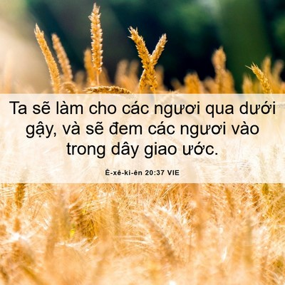 Picture 06 - Ê-xê-ki-ên 20:37 VIE - Ta sẽ làm cho các ngươi qua dưới gậy, - Bible Verse Picture