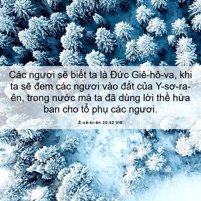 Picture 06 - Ê-xê-ki-ên 20:42 VIE - Các ngươi sẽ biết ta là Đức - Bible Verse Picture