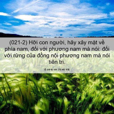 Picture 06 - Ê-xê-ki-ên 20:46 VIE - (021-2) Hỡi con người, hãy xây mặt về - Bible Verse Picture