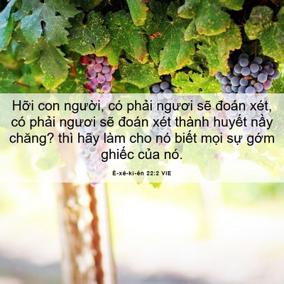 Picture 06 - Ê-xê-ki-ên 22:2 VIE - Hỡi con người, có phải ngươi sẽ - Bible Verse Picture