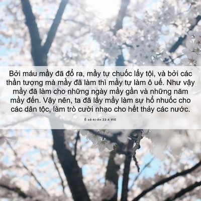 Picture 06 - Ê-xê-ki-ên 22:4 VIE - Bởi máu mầy đã đổ ra, mầy tự - Bible Verse Picture